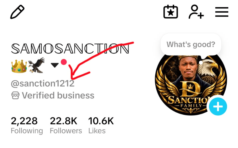 A TikTok profile page with a red arrow pointing to the @username shown under the display name